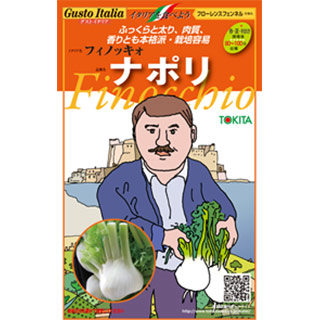 野菜・草花の種苗の通販は【太田種苗おおたねっと】へ