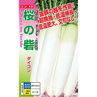 清白 種 【 桜の砦 】 8000粒 ( 清白の種 )