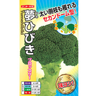 夢ひびき ブロッコリー ブロッコリー 野菜の種子 ブロッコリーの種 菜園くらぶ 家庭菜園の専門店 85日タイプの極早生 種 ペレット5千粒