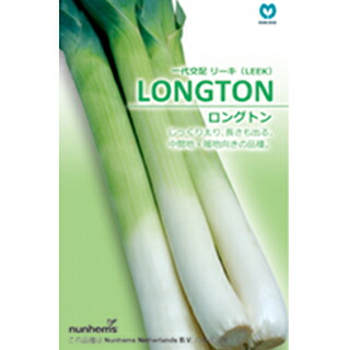 西洋葱 種 【 ロングトン 】 厚地の外套2500粒 ( 西洋葱の種 )
