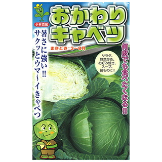 球菜 種 【 おかわり球菜 】 厚地の外套5千粒 ( 球菜の種 )