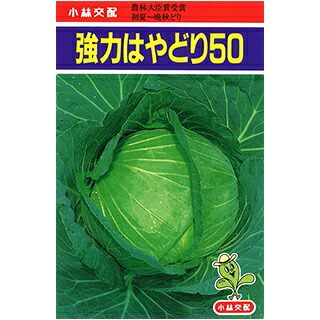 甘藍 種 【 豪然たるはやどり５０ 】 ペレット5千粒 ( 甘藍の種 )