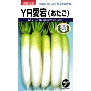 清白 種 【 ＹＲ新富王 】 2デシリットル ( 清白の種 )