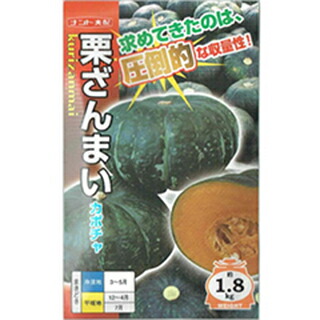 西洋カボチャ 種 【 栗ざんまい 】 500粒 ( 西洋カボチャの種 )