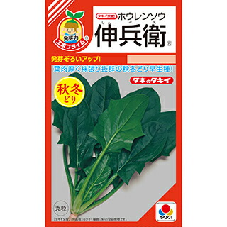 楽天市場】ほうれん草 【夏どりほうれん草】 種・小袋 （15ml
