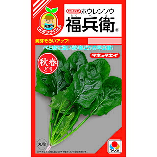 ほうれんそう出品 楽天市場】ほうれん草 【夏どりほうれん草】 種・小袋 （15ml