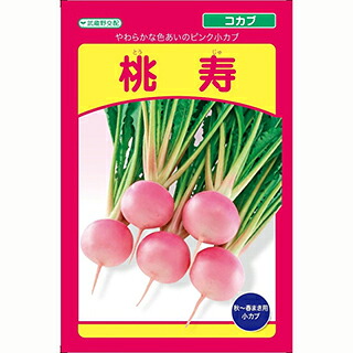 少年 種 【 さくら色少年 桃寿 】 1デシリットル ( 少年の種 )
