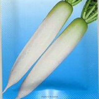 大根 種 【 美春 】 種子 2dl （ 種 野菜 野菜種子 野菜種 ）｜【菜園くらぶ】家庭菜園の専門店