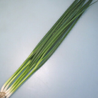 楽天市場】ネギ 種 【 TSX−505こねぎ 】 2dl ( ネギの種 ) : 【菜園