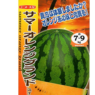 スイカ 種 【 サマーオレンジグランド 】 200粒 ( スイカの種 )