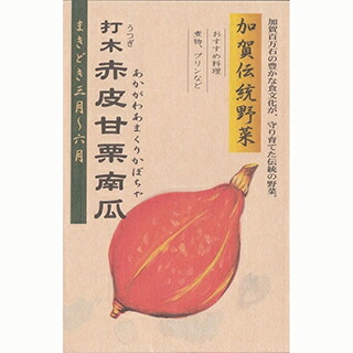 西洋カボチャ 種 【 加賀蔬菜 打木赤皮甘栗西洋カボチャ 】 1L ( 西洋カボチャの種 )