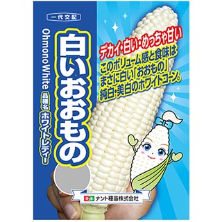 楽天市場 トウモロコシ 種 白いおおもの 約0粒 トウモロコシの種 菜園くらぶ 家庭菜園の専門店