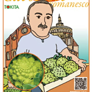 カリフラワー 種 【 ロマネスコ ダ・ヴィンチ 】 L厚地の外套千粒 ( カリフラワーの種 )