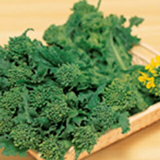 漬け菜 種 【 花飾り花菜 】 種子 2dl （ 種 野菜 野菜種子 野菜種 ）