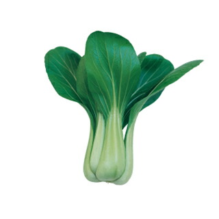 ちんげん菜 種 【 夏面白がる 】 内果皮 2デシリットル （ 種 蔬菜 蔬菜内果皮 蔬菜種 ）