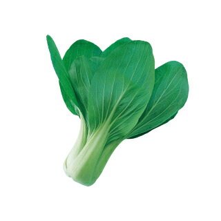ちんげん菜 種 【 醍醐味 】 内果皮 2デシリットル （ 種 蔬菜 蔬菜内果皮 蔬菜種 ）
