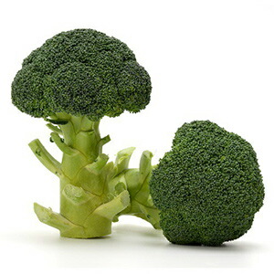 ブロッコリー 素材 りんな ペレットl5一千粒子 ブロッコリーの種 Effie Europe Com