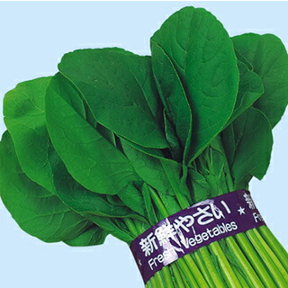 小松菜 種 【江戸の小町】 2dl （ 種 野菜 野菜種子 野菜種 ）