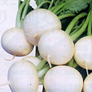 小僧 種 【 ゆき滅多にない 】 内果皮 2デシリットル （ 種 蔬菜 蔬菜内果皮 蔬菜種 ）