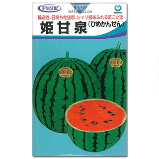 スイカ 種 【姫甘泉 (ひめかんせん)】 200粒 （ 種 草片 草片内果皮 草片種 ）