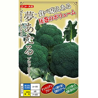 楽天市場】ブロッコリー 種 【 夢ひびき 】 20ml ( ブロッコリーの種