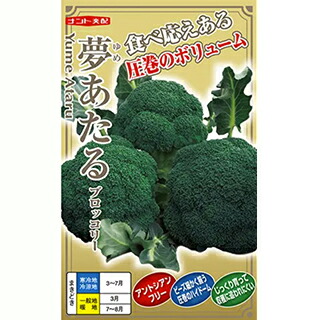 ブロッコリー 種 【 夢あたる 】 ペレット5千粒 ( ブロッコリーの種 )