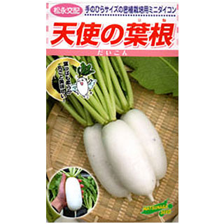 清白 種 【 エンジェルの葉根 】 2デシリットル ( 清白の種 )