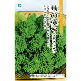 花菜 種 【 華の極みはなな 】 2dl ( 花菜の種 )｜【菜園くらぶ】家庭菜園の専門店