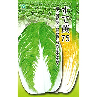 ハクサイ 種 【 すて黄75 】 ペレットL5千粒 ( ハクサイの種 )|【菜園くらぶ】家庭菜園の専門店