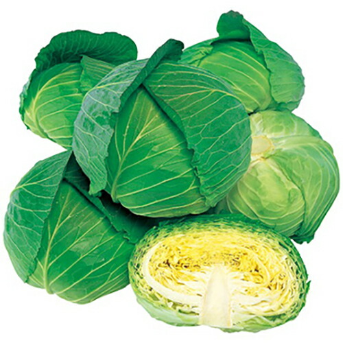 球菜 種 【 彩風 】 内果皮 L5千粒 （ 種 草片 草片内果皮 草片種 ）