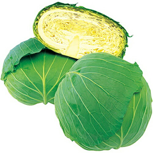 玉菜 種 【 彩里 】 内果皮 L5千粒 （ 種 蔬菜 蔬菜内果皮 蔬菜種 ）