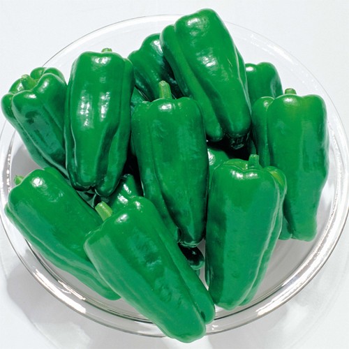 トウガラシ 種 【京ゆたか】 1,000粒 （ 種 草片 草片内果皮 草片種 ）