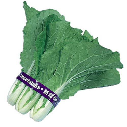 白菜 種 【 束ね菜白菜おばこ 】 種子 １ｄｌ （ 種 野菜 野菜種子 野菜種 ）｜【菜園くらぶ】家庭菜園の専門店