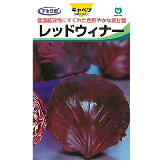 キャベツ 種 【 レッドウィナー 】 種子 ２０ｍｌ （ 種 野菜 野菜種子 野菜種 ）