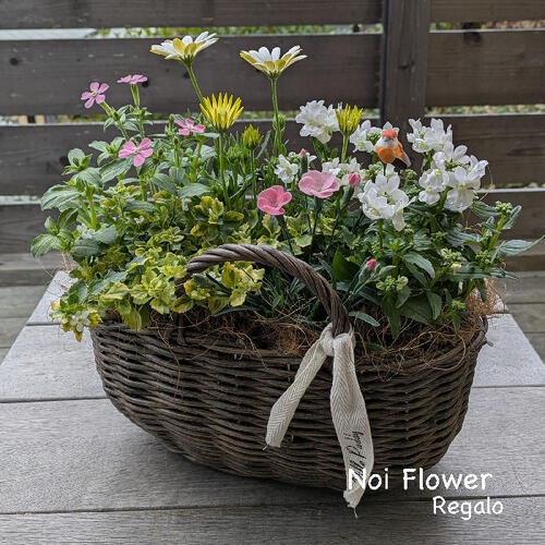 寄せ植え 小鳥のいる花いっぱいのバスケット