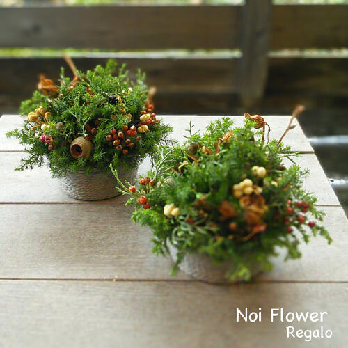 メイ　　クリスマスプレゼント アートフラワー メイ クリスマスプレゼント アートフラワー クリスマスのプリザーブド