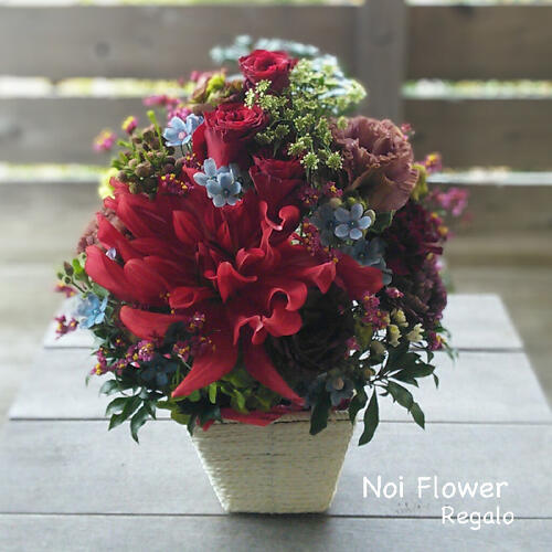 楽天市場】送料無料 ポインセチア・モミの木を使ったアートフラワー