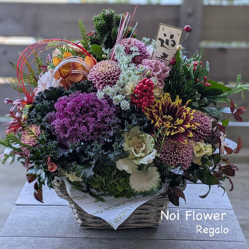 楽天市場】寒い日も元気な ビオラ と小花のリース 寄せ植え : ノイ