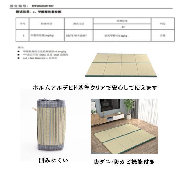 畳マットレス い草 マットラグ 折りたたみ カーペット 畳ベッド シングル 消臭 吸汗 除湿 吸湿 防カビ 布団 いぐさ 敷きパッド 置き畳 6,394円