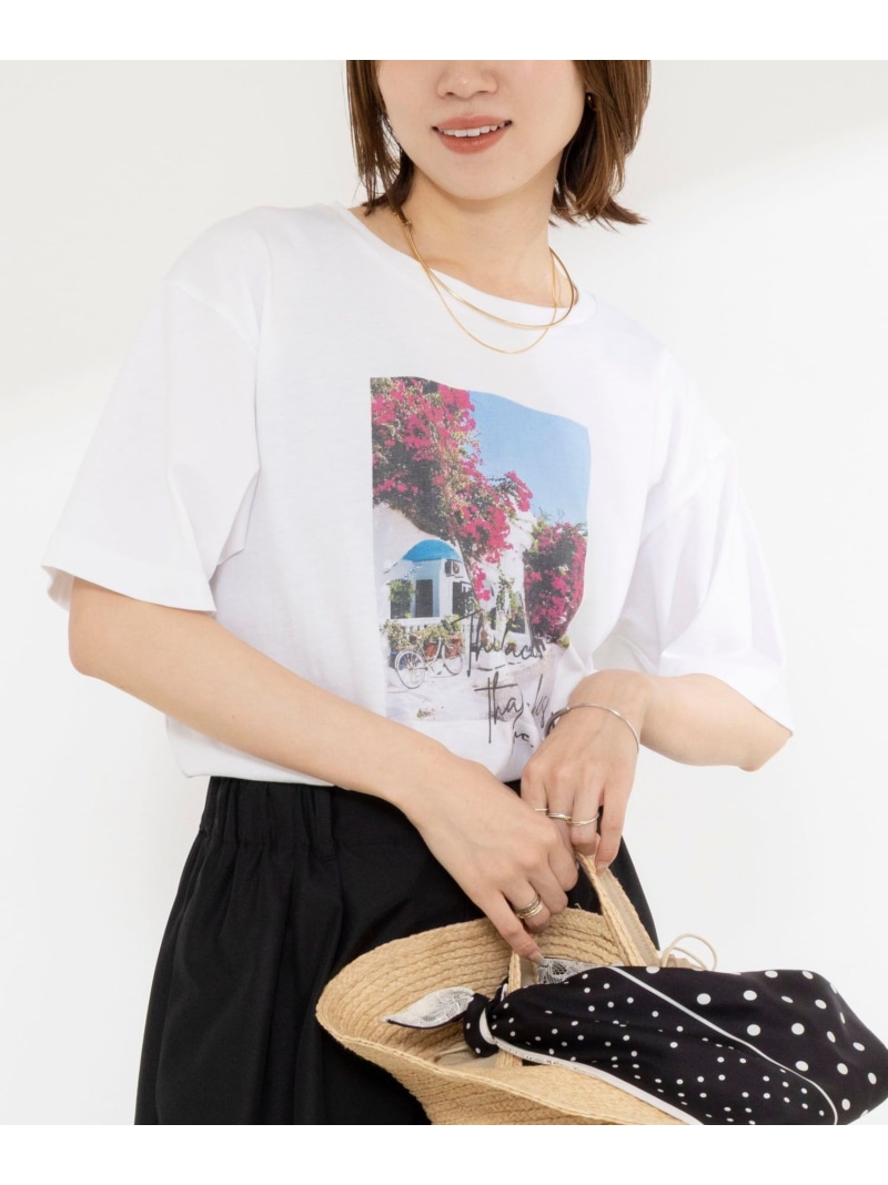 ウォッシャブルフォトT NOLLEY\u0027S ノーリーズ トップス カットソー・プルオーバー 白いこと【此れから取っておく】*【貨物輸送無料】[ Fashion]