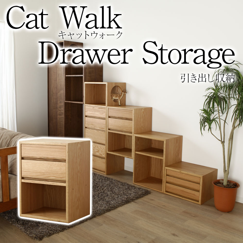 楽天市場】cat walk キャットウォークC 小物 収納 ウォールナット