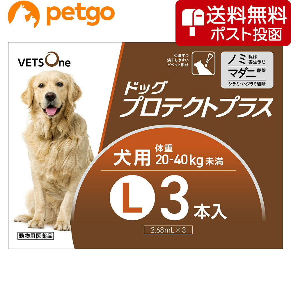 ネコポス 同梱不可 ドッグプロテクトプラス L ベッツワン 犬用