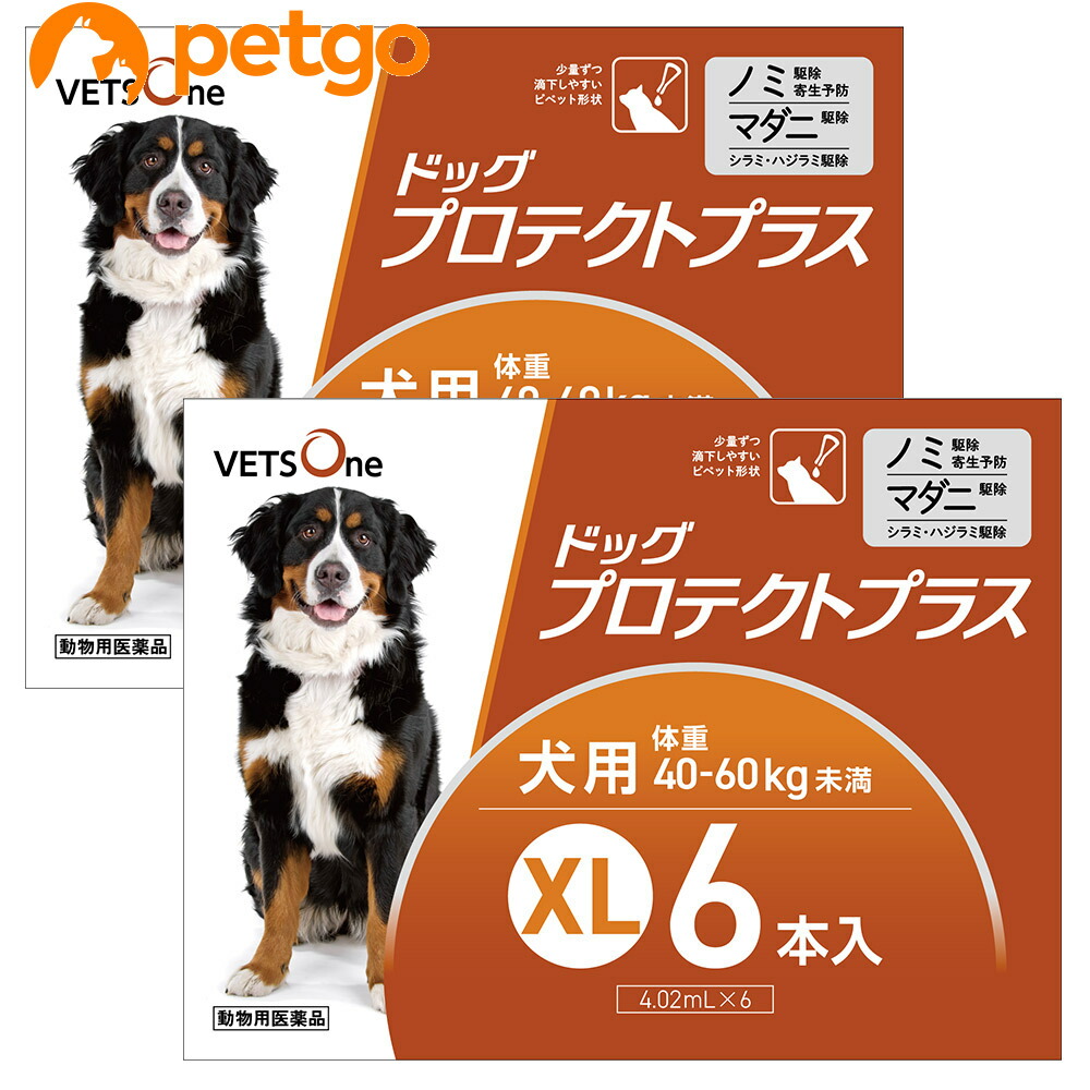 2988円 タイムセール ベッツワン ドッグプロテクトプラス 犬用 XL 40kg〜60kg未満 6本 動物用医薬品