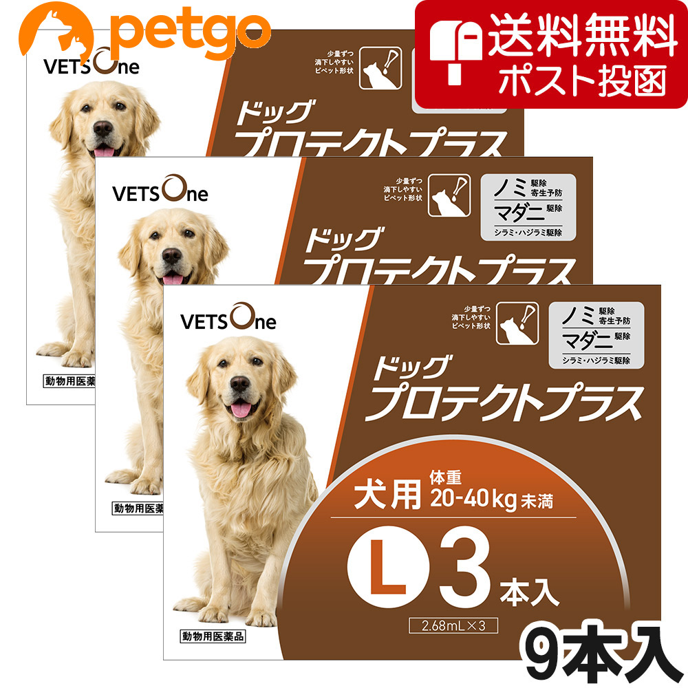 【ネコポス(同梱不可)】【3箱書き割り】ベッツワン ドッグプロテクトプラス 犬用 L 20kg～40kg未満 3本 (毛の荒物用飲み薬)
