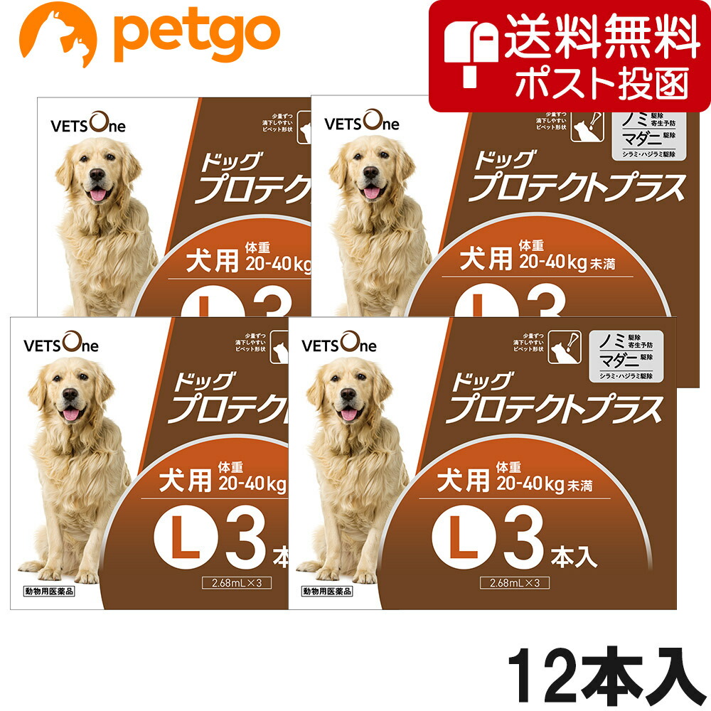 【ネコポス(同梱不可)】【4箱書き割り】ベッツワン ドッグプロテクトプラス 犬用 L 20kg～40kg未満 3本 (毛の荒物用飲み薬)