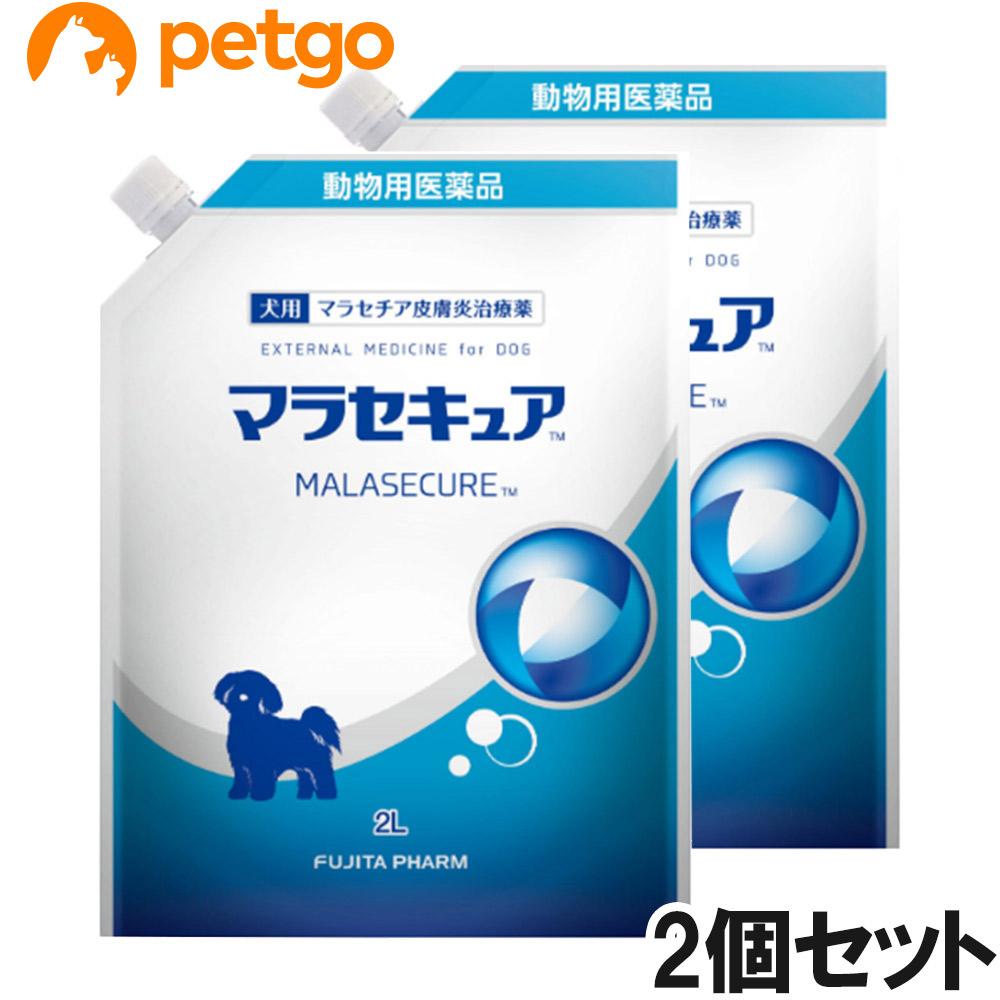 【2個書き割り】マラセキュア シャンプー 犬用 詰め替え用 2L（毛の荒物用飲み薬）