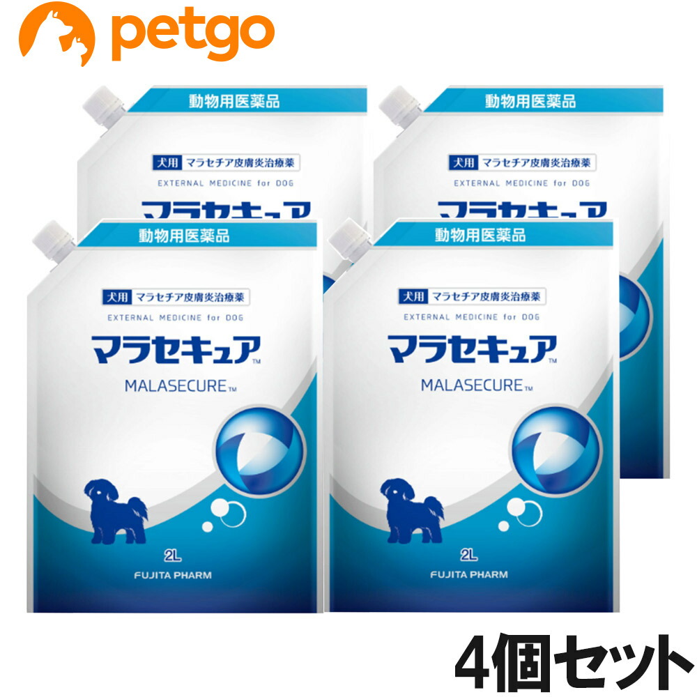 【4個書き割り】マラセキュア シャンプー 犬用 詰め替え用 2L（毛の荒物用飲み薬）