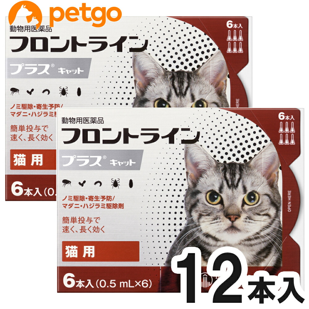 最大350円offクーポン 2箱セット 猫用フロントラインプラスキャット 6本 6ピペット 動物用医薬品 あす楽 Clickcease Com