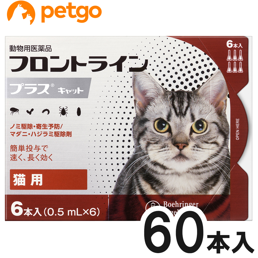 【10箱書き割り】猫用フロントラインプラスキャット 6本（6ピペット）（毛の荒物用飲み薬）