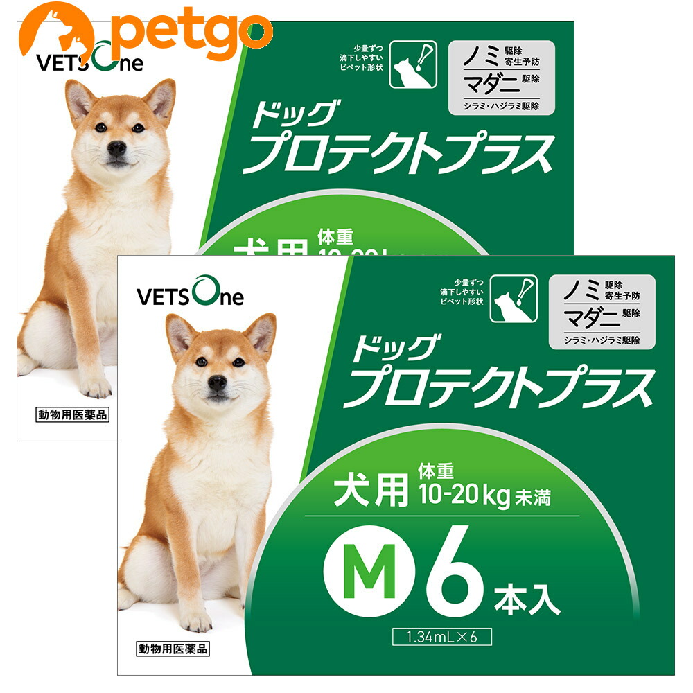 95%OFF!】 ベッツワン ドッグプロテクトプラス 犬用 M 10kg〜20kg未満 6本